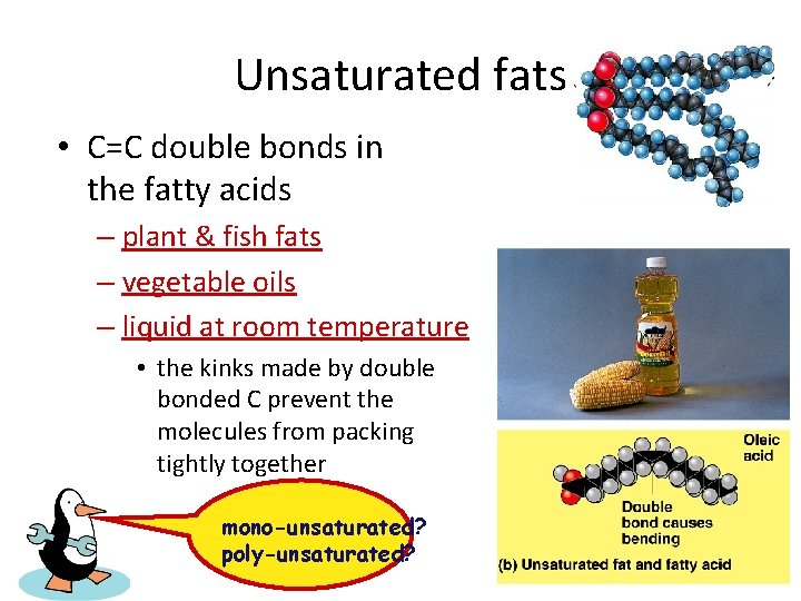 Unsaturated fats • C=C double bonds in the fatty acids – plant & fish