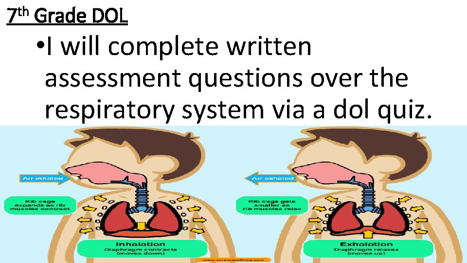 7 th Grade DOL • I will complete written assessment questions over the respiratory
