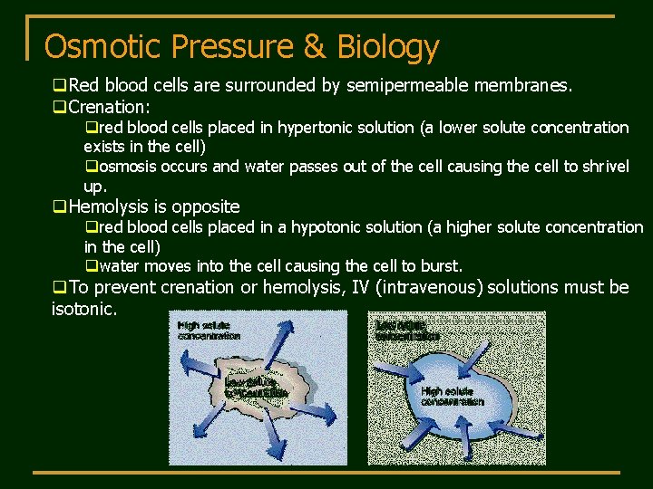 Osmotic Pressure & Biology q. Red blood cells are surrounded by semipermeable membranes. q.