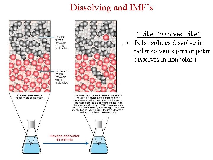 Dissolving and IMF’s “Like Dissolves Like” • Polar solutes dissolve in polar solvents (or