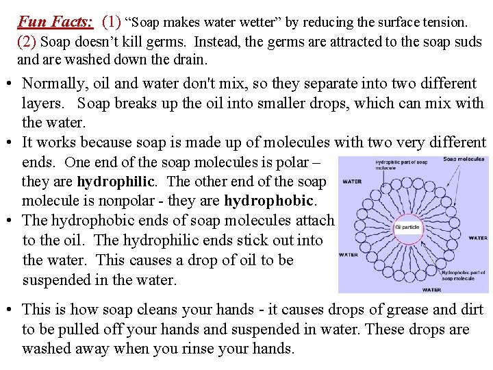 Fun Facts: (1) “Soap makes water wetter” by reducing the surface tension. (2) Soap