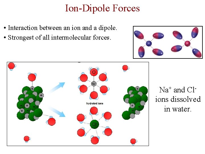 Ion-Dipole Forces • Interaction between an ion and a dipole. • Strongest of all