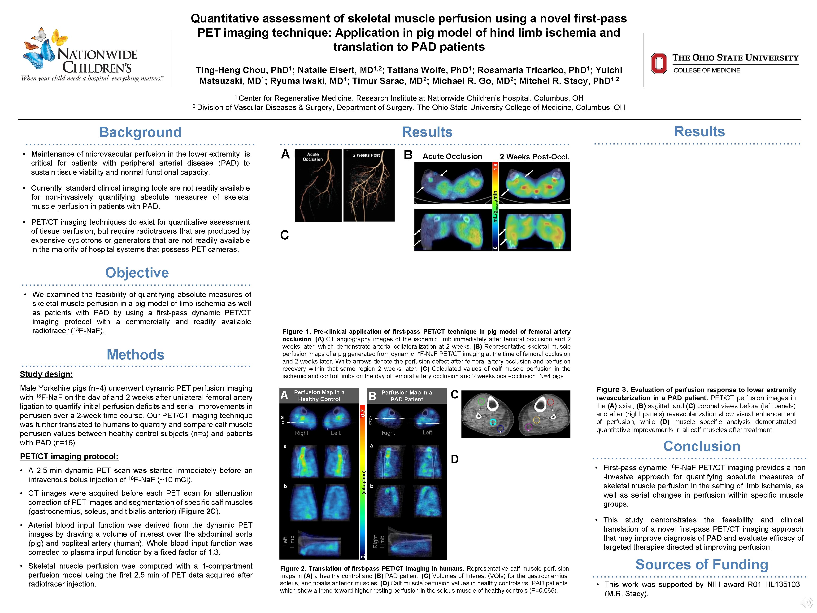 Quantitative assessment of skeletal muscle perfusion using a novel first-pass PET imaging technique: Application