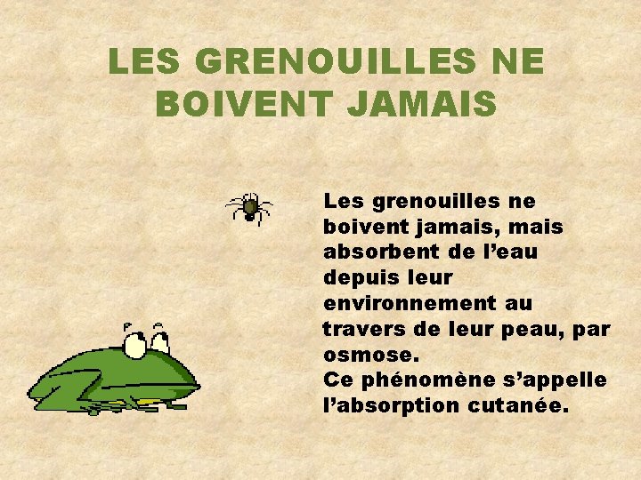 LES GRENOUILLES NE BOIVENT JAMAIS Les grenouilles ne boivent jamais, mais absorbent de l’eau