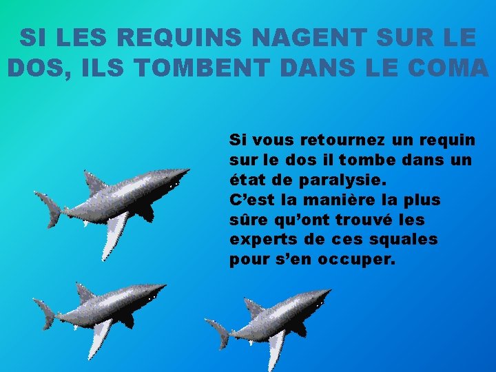 SI LES REQUINS NAGENT SUR LE DOS, ILS TOMBENT DANS LE COMA Si vous