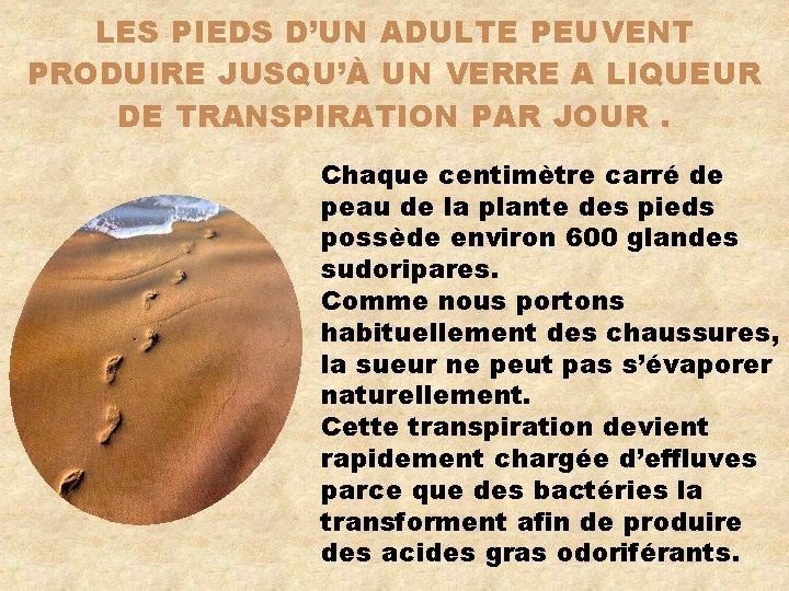 LES PIEDS D’UN ADULTE PEUVENT PRODUIRE JUSQU’À UN VERRE A LIQUEUR DE TRANSPIRATION PAR