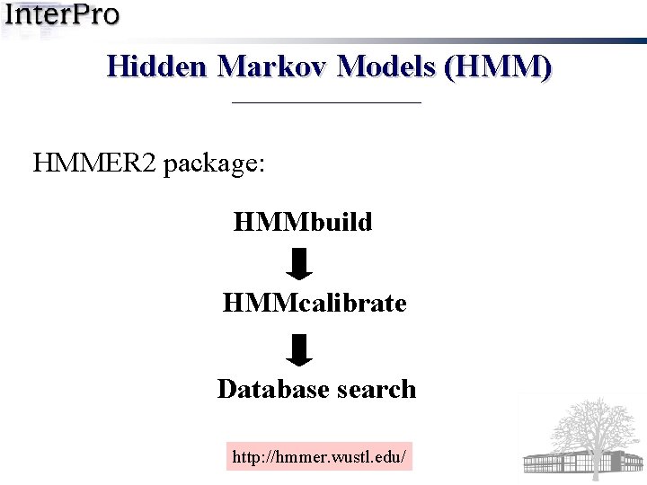 Hidden Markov Models (HMM) HMMER 2 package: HMMbuild HMMcalibrate Database search http: //hmmer. wustl.