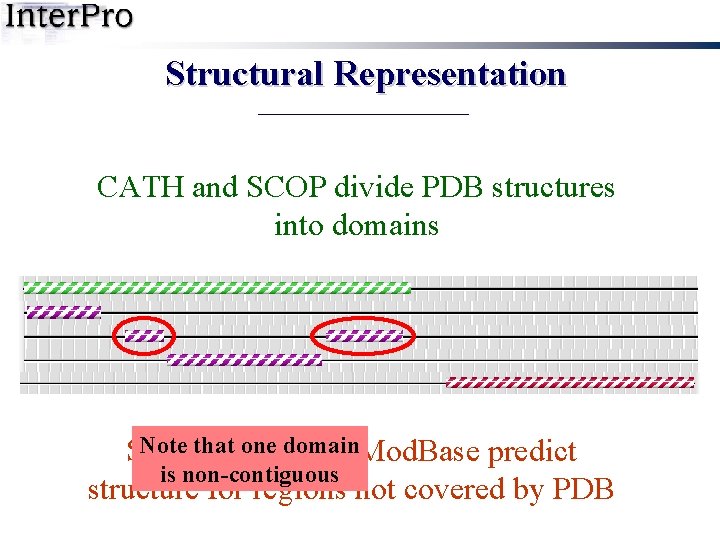 Structural Representation CATH and SCOP divide PDB structures into domains Note that one domain
