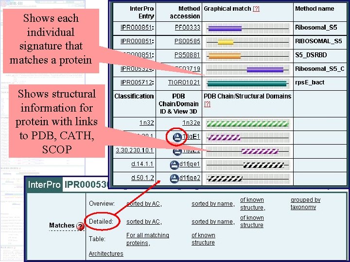 Shows each individual signature that matches a protein Shows structural information for protein with