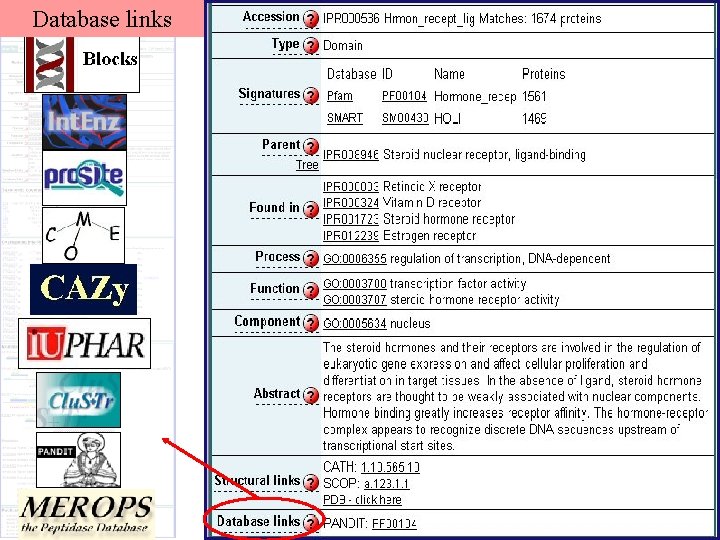 Database links 