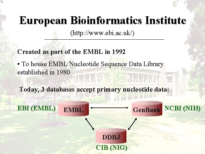 European Bioinformatics Institute (http: //www. ebi. ac. uk/) Created as part of the EMBL