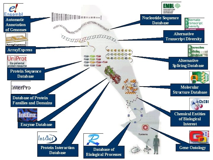 Nucleotide Sequence Database Automatic Annotation of Genomes Alternative Transcript Diversity Array. Express Alternative Splicing