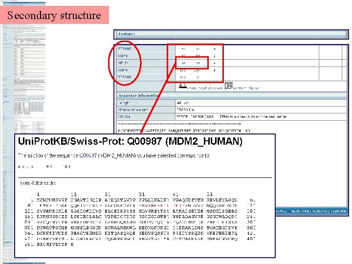 Secondary structure 