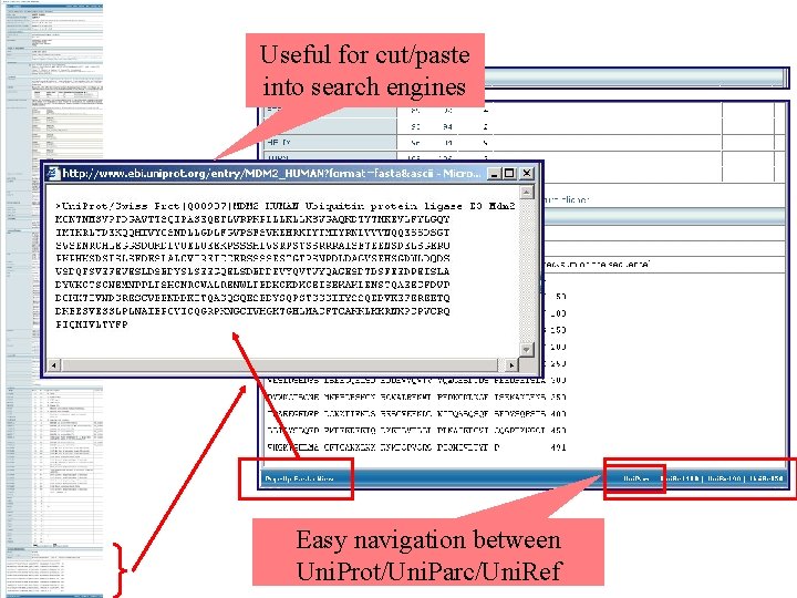 Useful for cut/paste into search engines Easy navigation between Uni. Prot/Uni. Parc/Uni. Ref 