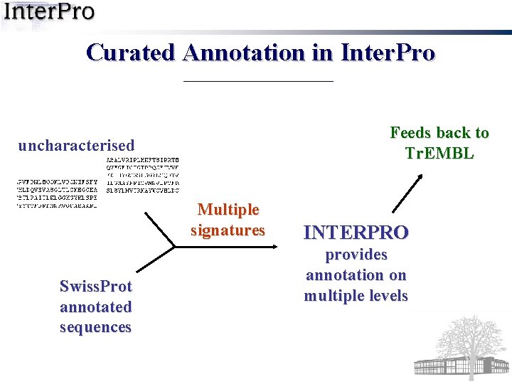 Curated Annotation in Inter. Pro Feeds back to Tr. EMBL uncharacterised Multiple signatures Swiss.
