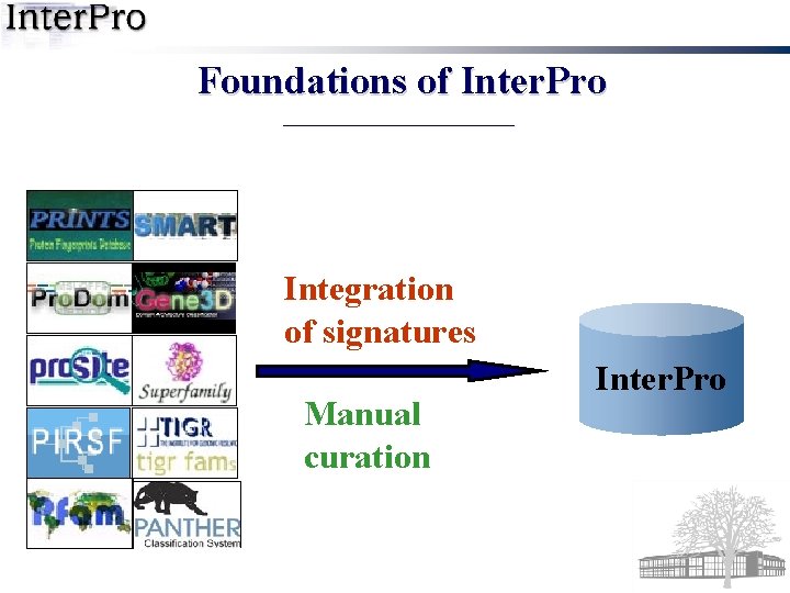 Foundations of Inter. Pro Integration of signatures Manual curation Inter. Pro 