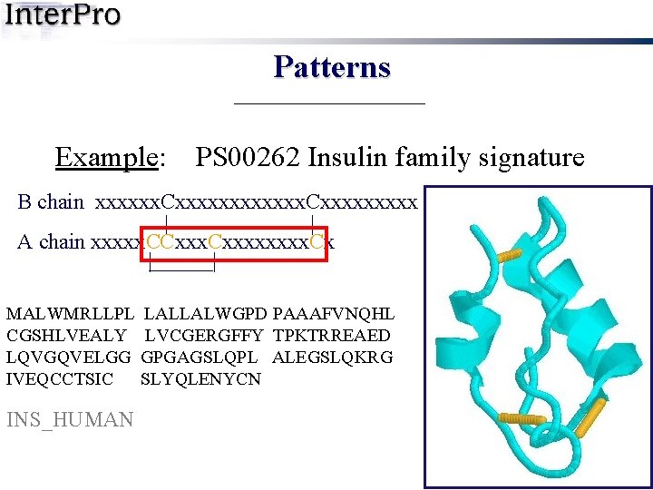 Patterns Example: PS 00262 Insulin family signature B chain xxxxxx. Cxxxxxxxxx | | A