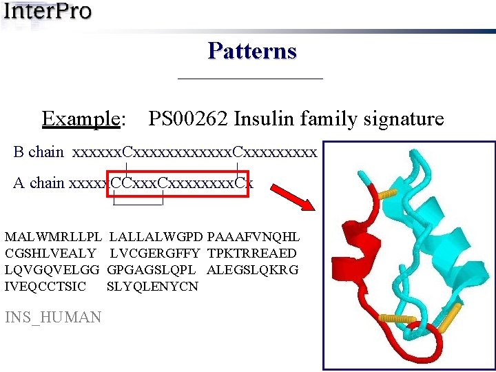 Patterns Example: PS 00262 Insulin family signature B chain xxxxxx. Cxxxxxxxxx | | A