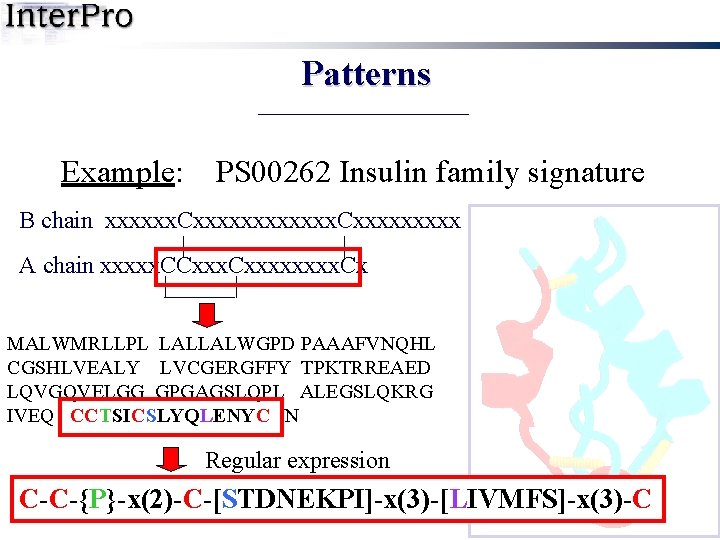 Patterns Example: PS 00262 Insulin family signature B chain xxxxxx. Cxxxxxxxxx | | A