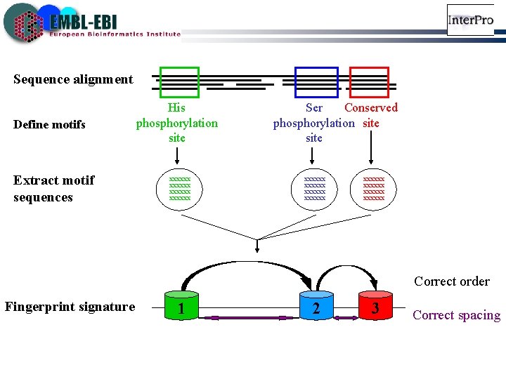 Sequence alignment Define motifs Extract motif sequences His phosphorylation site xxxxxx Ser Conserved phosphorylation