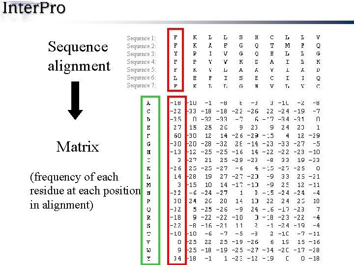 Sequence alignment Sequence 1: Sequence 2: Sequence 3: Sequence 4: Sequence 5: Sequence 6: