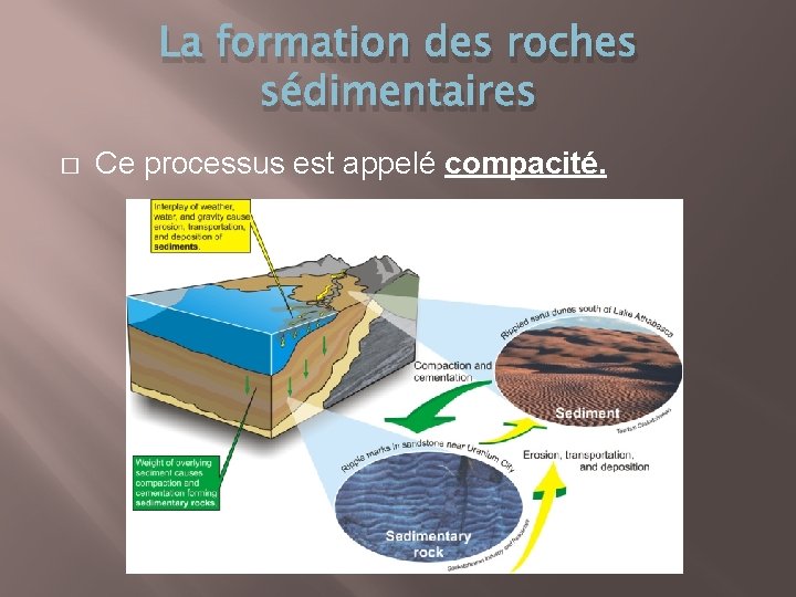 La formation des roches sédimentaires � Ce processus est appelé compacité. 