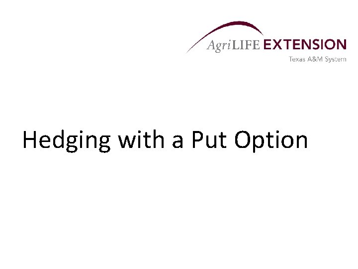 Hedging with a Put Option 