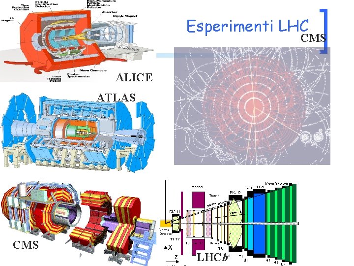 Esperimenti LHC CMS ALICE ATLAS CMS LHCb 