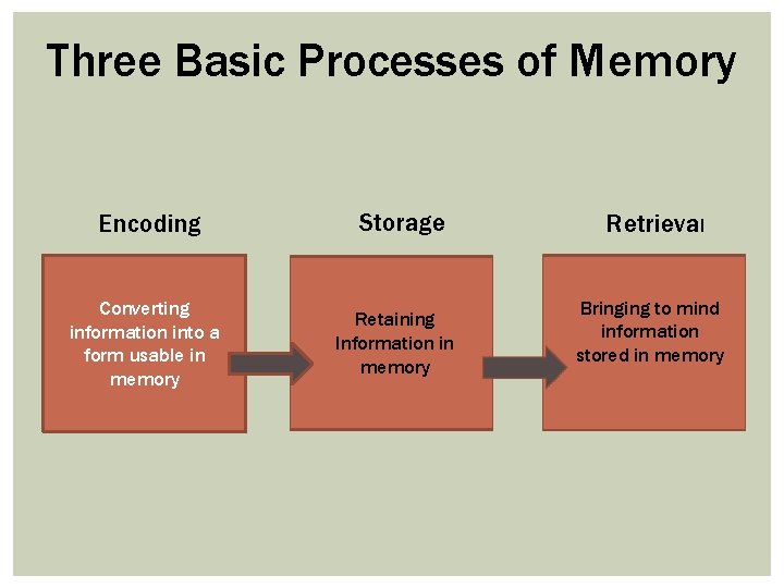 Three Basic Processes of Memory Encoding Converting information into a form usable in memory