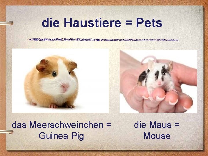 die Haustiere = Pets das Meerschweinchen = Guinea Pig die Maus = Mouse 