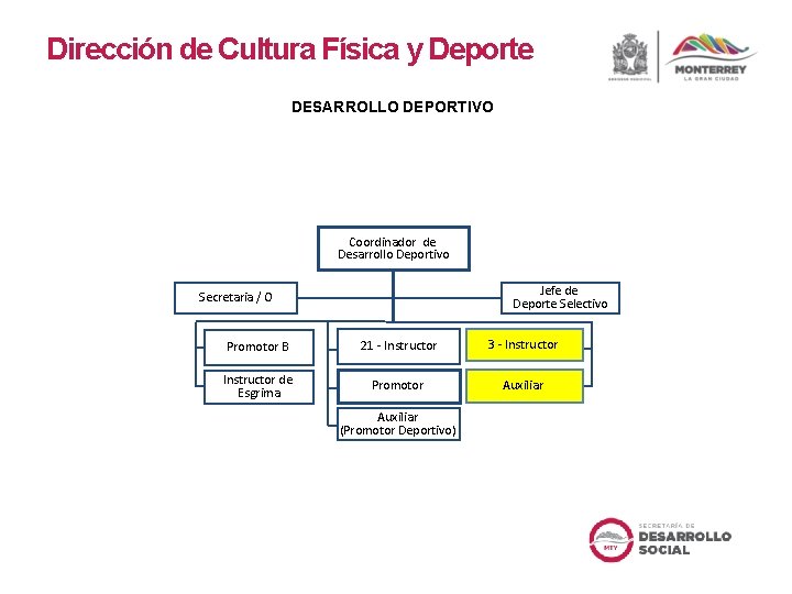 Dirección de Cultura Física y Deporte DESARROLLO DEPORTIVO Coordinador de Desarrollo Deportivo Jefe de