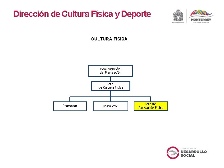 Dirección de Cultura Física y Deporte CULTURA FISICA Coordinación de Planeación Jefe de Cultura