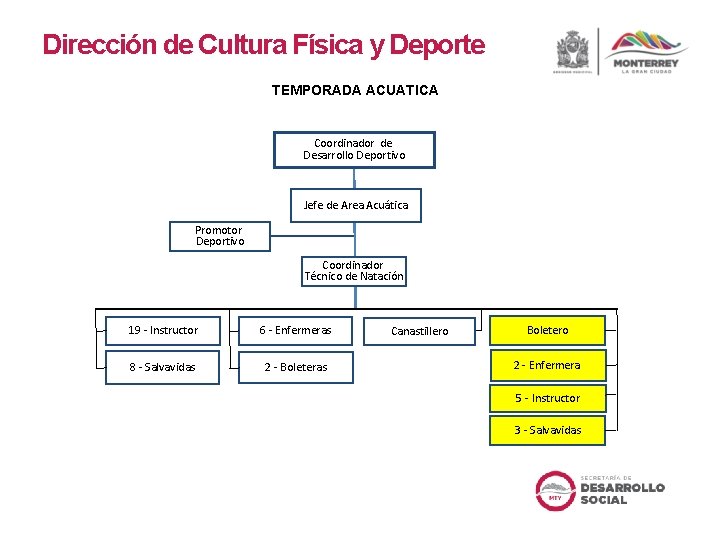 Dirección de Cultura Física y Deporte TEMPORADA ACUATICA Coordinador de Desarrollo Deportivo Jefe de