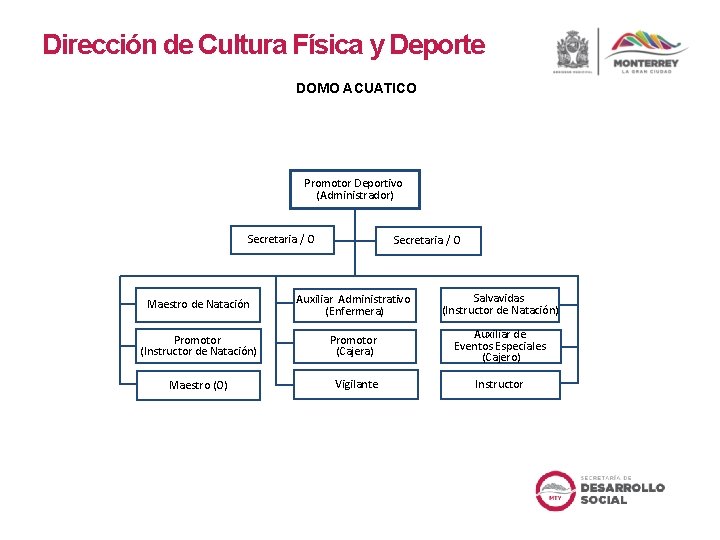 Dirección de Cultura Física y Deporte DOMO ACUATICO Promotor Deportivo (Administrador) Secretaria / O