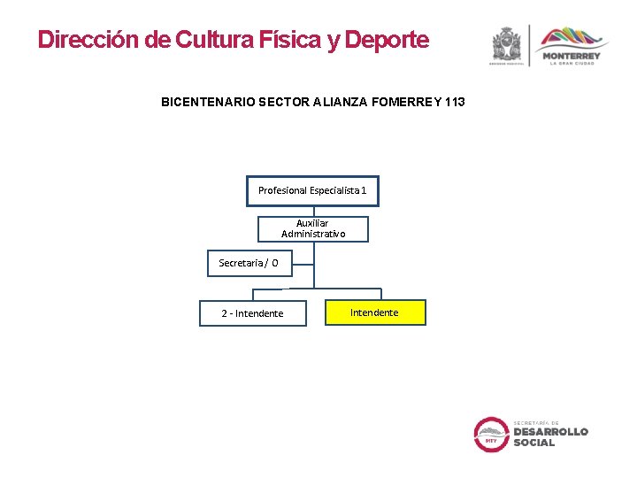 Dirección de Cultura Física y Deporte BICENTENARIO SECTOR ALIANZA FOMERREY 113 Profesional Especialista 1