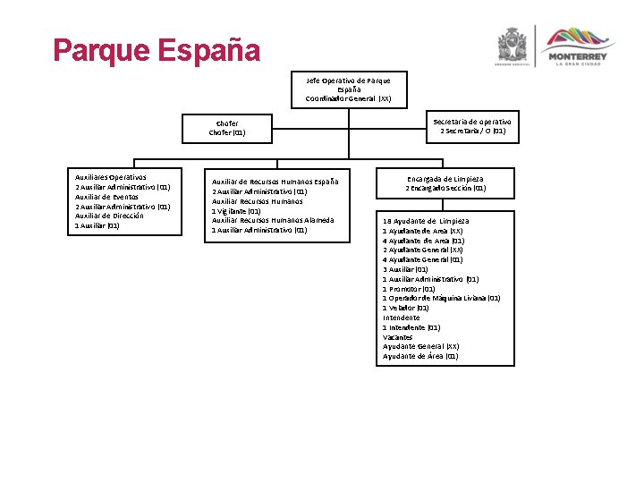 Parque España Jefe Operativo de Parque España Coordinador General (XX) Chofer (01) Auxiliares Operativos