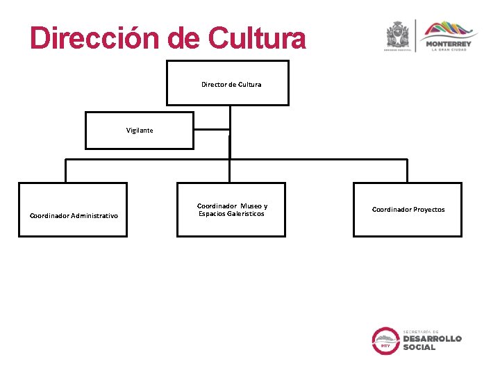 Dirección de Cultura Director de Cultura Vigilante Coordinador Administrativo Coordinador Museo y Espacios Galeristicos