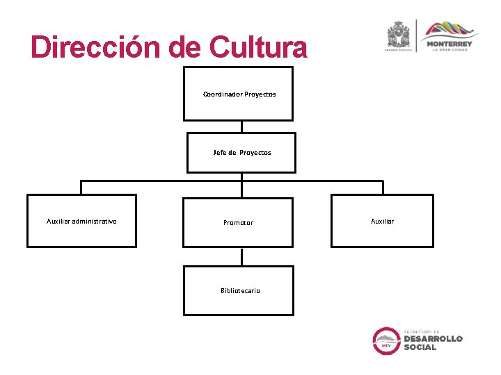 Dirección de Cultura Coordinador Proyectos Jefe de Proyectos Auxiliar administrativo Promotor Bibliotecario Auxiliar 