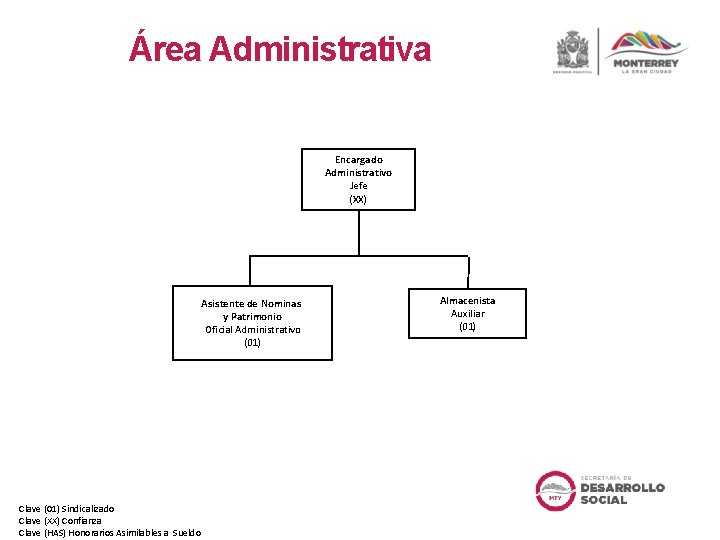 Área Administrativa Encargado Administrativo Jefe (XX) Asistente de Nominas y Patrimonio Oficial Administrativo (01)
