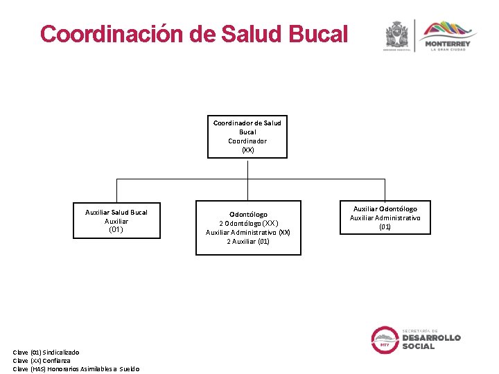 Coordinación de Salud Bucal Coordinador (XX) Auxiliar Salud Bucal Auxiliar (01) Clave (01) Sindicalizado