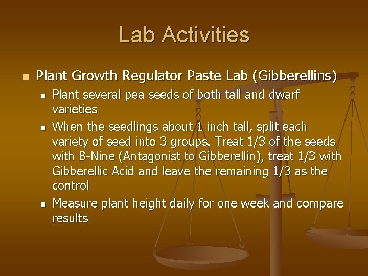 Lab Activities n Plant Growth Regulator Paste Lab (Gibberellins) n n n Plant several