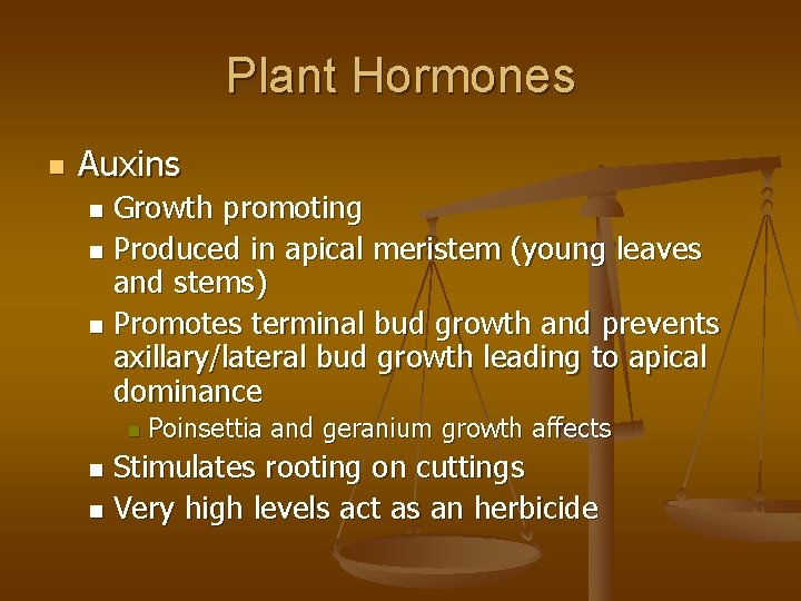 Plant Hormones n Auxins Growth promoting n Produced in apical meristem (young leaves and