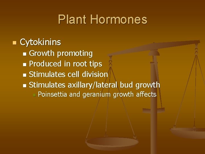 Plant Hormones n Cytokinins Growth promoting n Produced in root tips n Stimulates cell