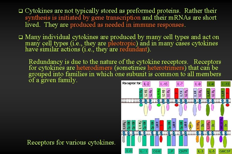 q Cytokines are not typically stored as preformed proteins. Rather their synthesis is initiated