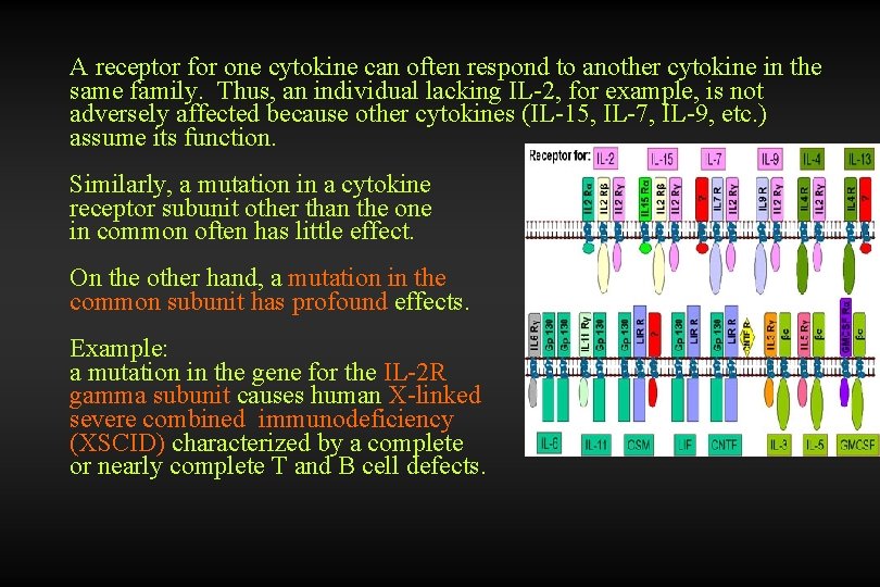 A receptor for one cytokine can often respond to another cytokine in the same