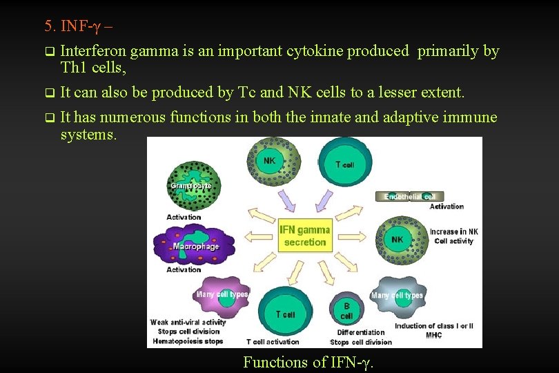 5. INF-γ – Interferon gamma is an important cytokine produced primarily by Th 1