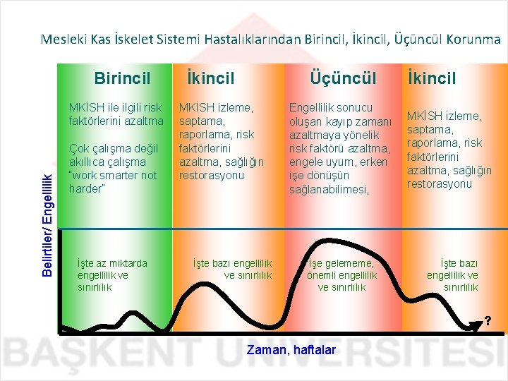 Mesleki Kas İskelet Sistemi Hastalıklarından Birincil, İkincil, Üçüncül Korunma Birincil Belirtiler/ Engellilik MKİSH ile