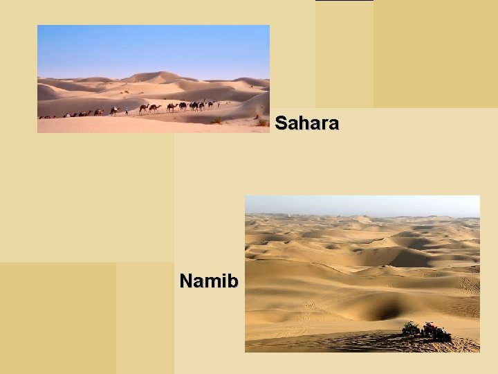 Sahara Namib 