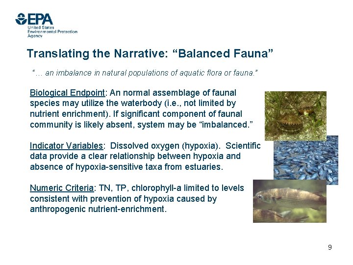 Translating the Narrative: “Balanced Fauna” “… an imbalance in natural populations of aquatic flora