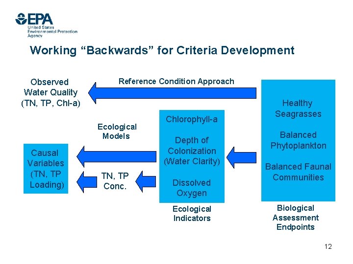 Working “Backwards” for Criteria Development Observed Water Quality (TN, TP, Chl-a) Reference Condition Approach